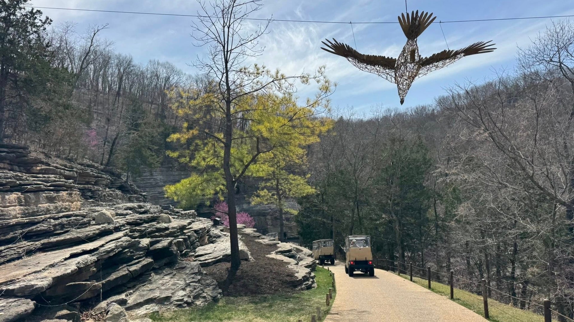carts beside the mountain with lots of trees